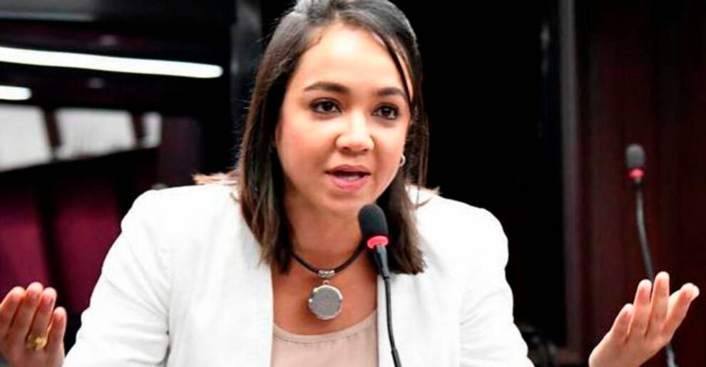 Faride Raful asegura que han trabajado con desplazados de la cañada Los Ríos