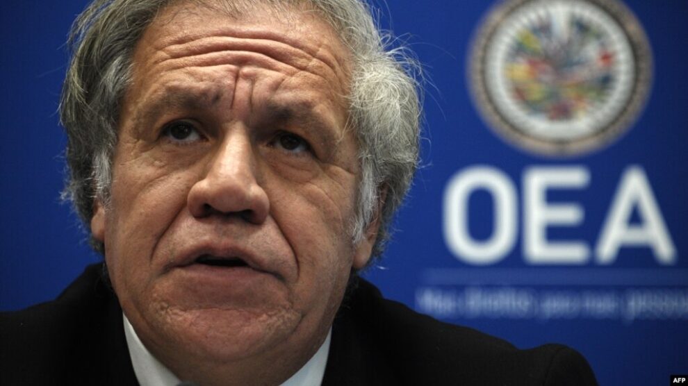 La OEA obligada a actuar tras elecciones en Nicaragua
