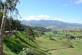 Jarabacoa Fest 2021 Woods