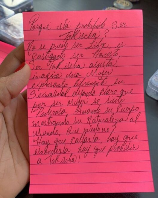 Tokischa dice: “Es muy tarde para prohibir a Tokischa”