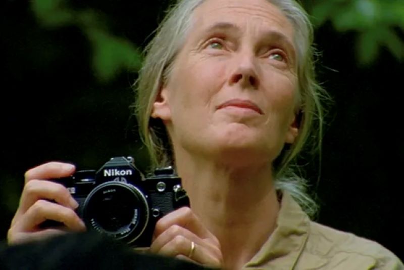 Muere  la primatóloga británica Jane Goodall