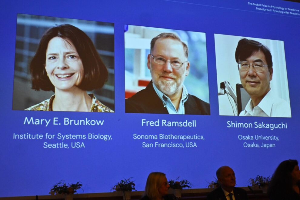 Premio Nobel de Medicina 2025 para Brunkow, Ramsdell y Sakaguchi por avances en inmunología