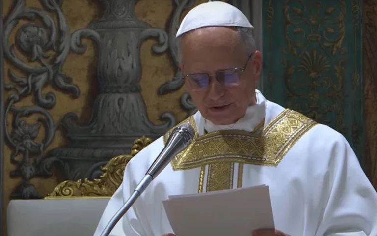 El papa León XIV alerta sobre el creciente rechazo al matrimonio